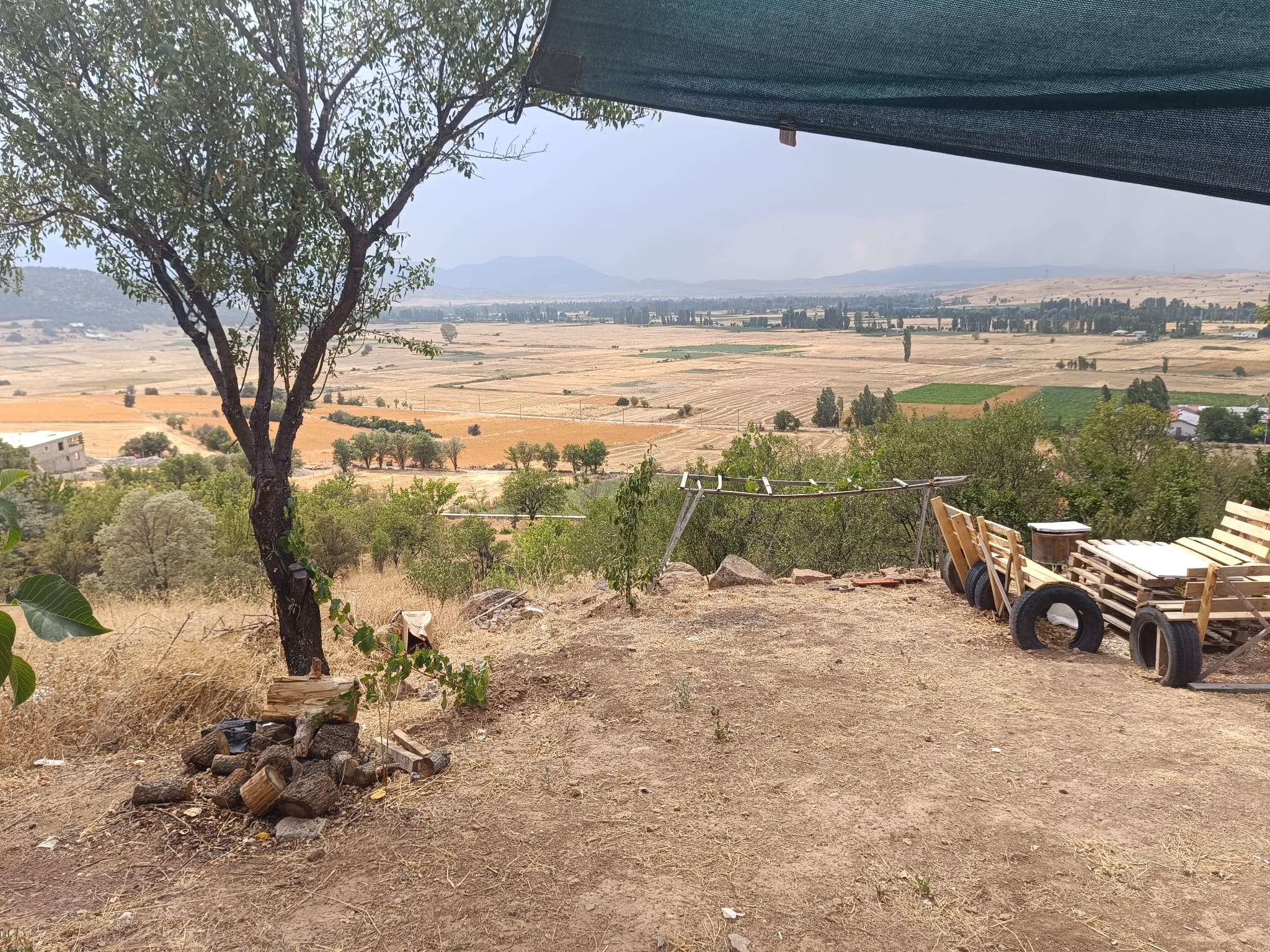 KONYA KARAÖMERLER KÖYÜN DE 5000 M2 HİSSELİ TARLA SATLIK TIR